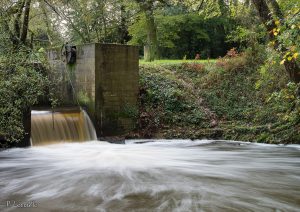Filé d'eau