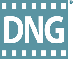 Logo DNG